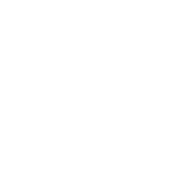Logo for Blitz Flow Jiu Jitsu—BJJ school in Alvin, TX for kids and adults